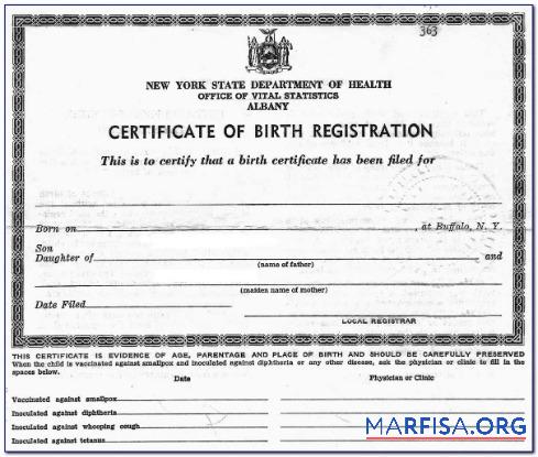 Blank New York office of Vital Statistics Albany birth certification download for verification